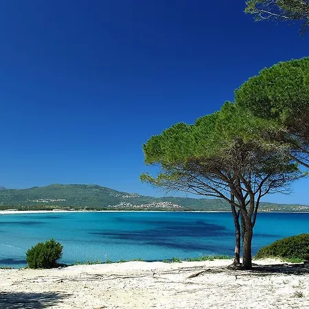 Κάμπινγκ Village Pedra E Cupa 3*