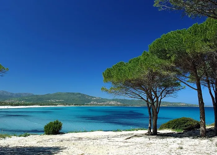 Κάμπινγκ Village Pedra E Cupa 3*